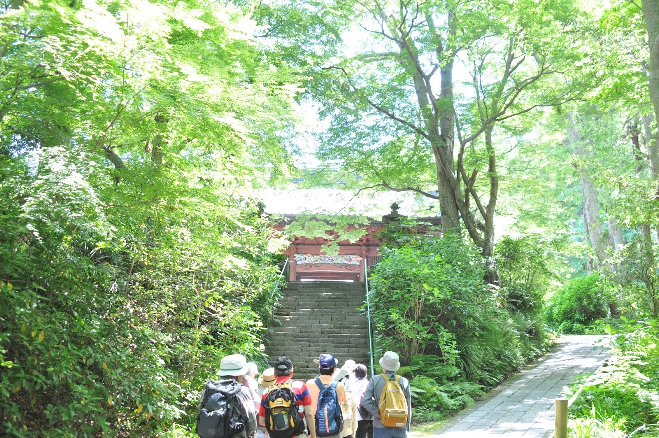 46年会 恒例の鎌倉ウォーキング 第15回 5月30日 ４６年会 関西学院 同窓会 Kg Tokyo Com